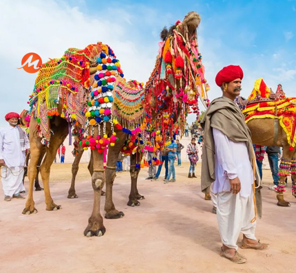 Best of Rajasthan Tour