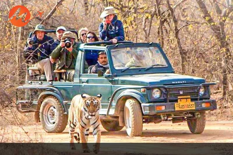 Bandhavgarh National Park