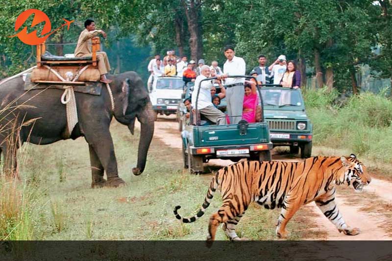 Jeep Safar
