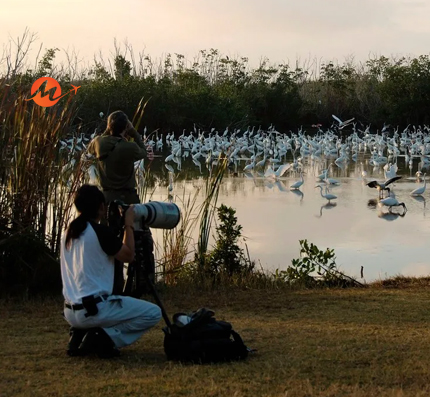 Bird Watching Tour of North East India