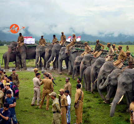 Eastern India Wildlife holidays