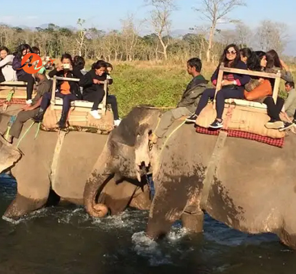South India Wildlife Tours