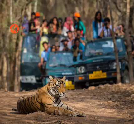 Northern Indian Wildlife with Agra & Jaipur Tour