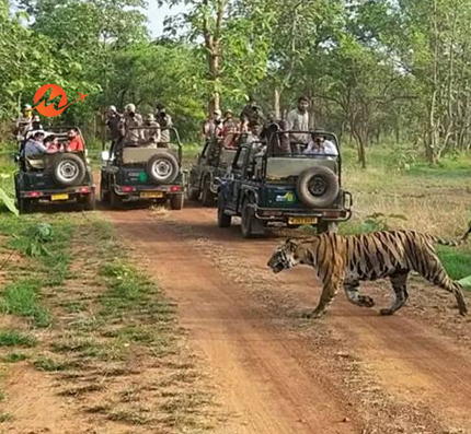 Nature Trail of Odisha