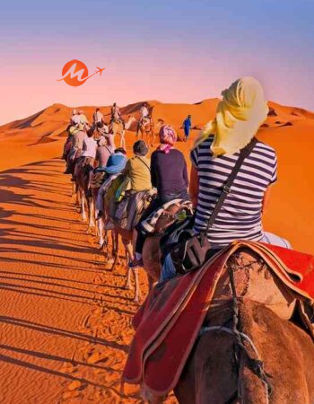 Wildlife With Desert Safari Tour